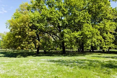 Landscaping of the park Stock Photos