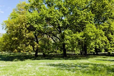 Landscaping of the park Stock Photos
