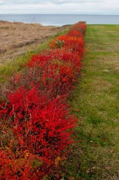 Landscaping of parks in the fall Stock Photos