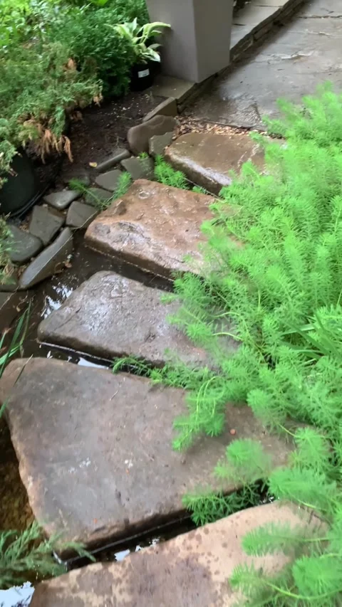Landscaping, view of the stone path to the garden pond Stock Footage 273825739