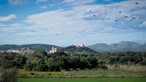 Landschaft mit Pferd Stock Photos
