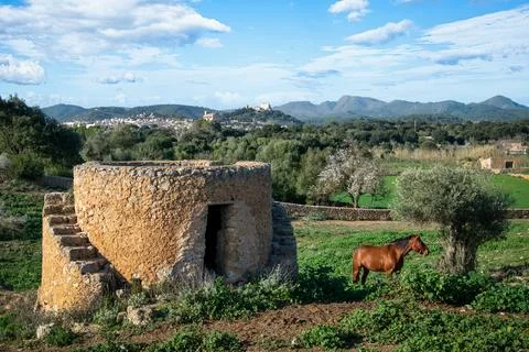 Landschaft mit Pferd Stock Photos