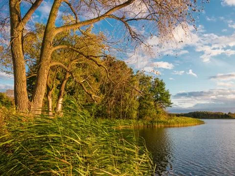 Landschaft Foto stock