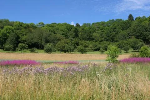 Landschaft Stock Photos