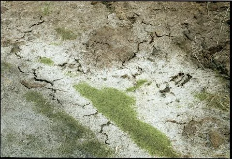 Landschaft02 Stock Photos