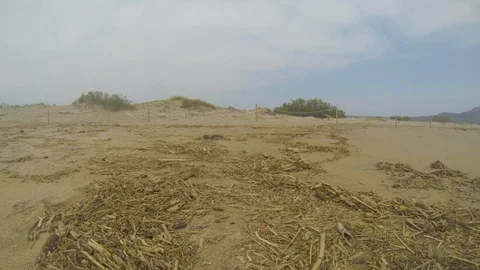 Landscspe from the beach Stock Footage 117632233