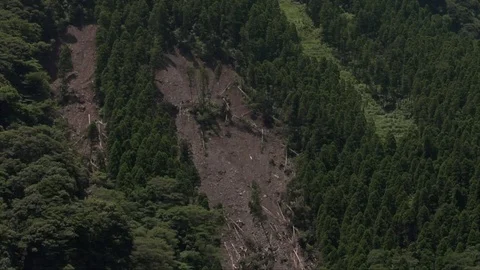Landslide caused by earthquake Stock Footage 74024254