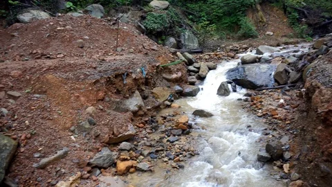 Landslide in a deep forest Stockbeeldmateriaal 116650714