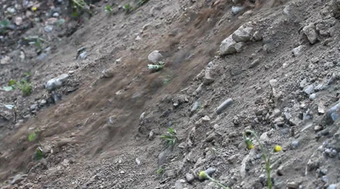 Landslide Video stock 24709761