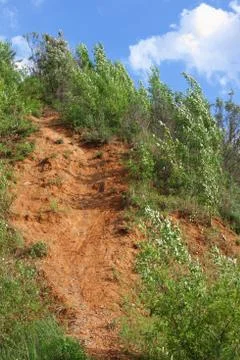 Landslide in forest Stock Photos