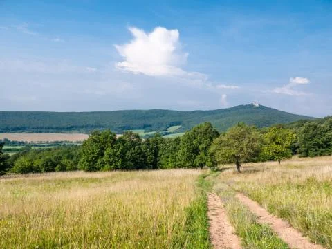 Lane in meadow Stock Photos