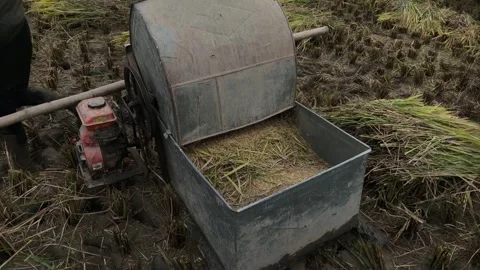 Lang-son-farmer-using-homemade-rice-thresher-close-up Stock Footage 340270187