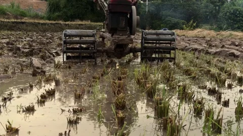 Lang-son-tractor-driving-towards-camera Stock Footage 340238868