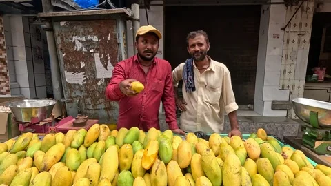 Langar mangoes are seen ready to be sold at the fruit market Stock Footage 278639986