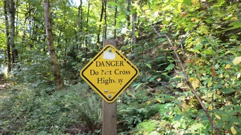 Langford, BC, Canada - September 16, 2026: Goldstream Provincial Park Sign Stock Footage 345614972