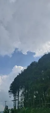 Langit biru 库存照片