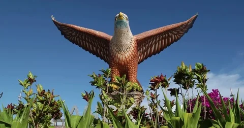 Langkawi Eagle dolly shot Stock Footage 81282375