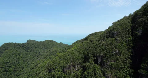Langkawi rainforest on rather steep slopes of oldest mountains, aerial view Stock Footage 315205509