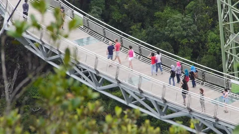 LANGKAWI SKYBRIDGE FROM THE TOP 库存影片 220444089