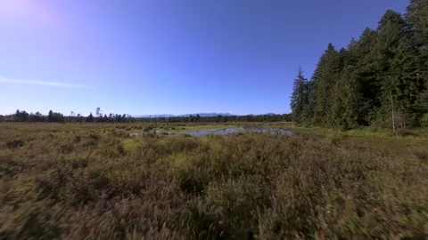 Langley Lagoon Canada Video stock 313749163