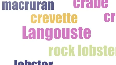 Langouste Tag Cloud Animated On White Background Stock-Footage 107244817