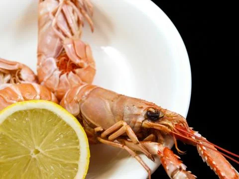 Langoustine Stock-Fotos