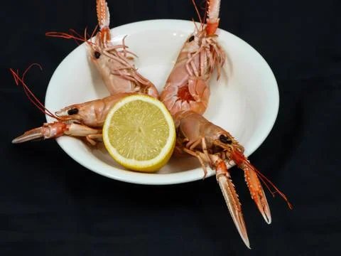 Langoustine Stock Photos