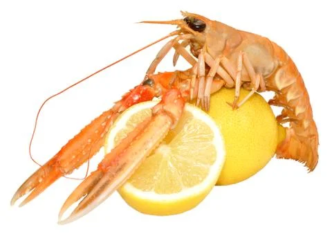 Langoustine Shellfish Stock Photos