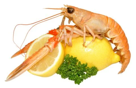 Langoustine Shellfish Stock Photos