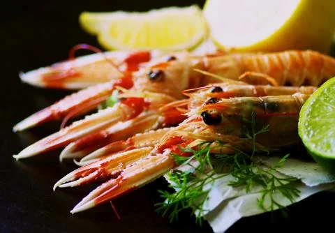 Langoustines Stock Photos