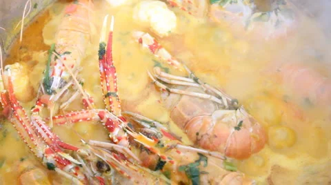 Langoustines stew Stock Footage 1040264