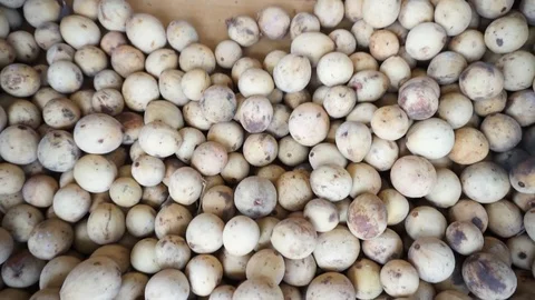 Langsat Stock Footage 102818438