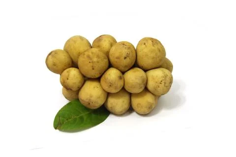 Langsat fruit Stock Photos
