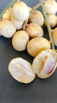 Langsat fruit Stock Photos