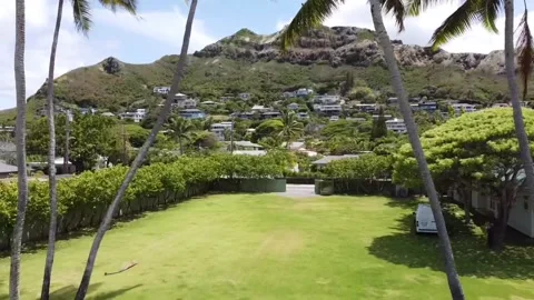 Lanikai Beach coconut trees Video stock 182083140