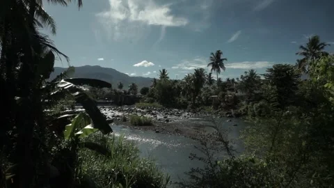 Lanscape Stock Footage 309445839