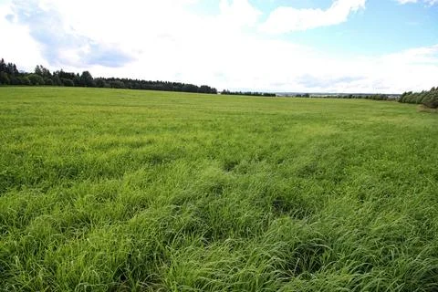 Lanscape meadow sky cloud various objects of the summer season in the best... Foto stock
