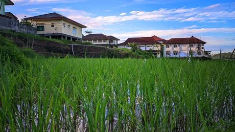 Lanscape Stock Photos