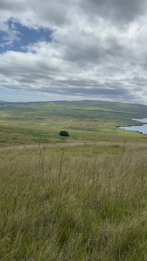 Lanscape from top of Poike volcano in Easter Island 库存影片 342841812