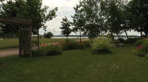 Lanscape. Trees in the park. Stock Footage 55809092