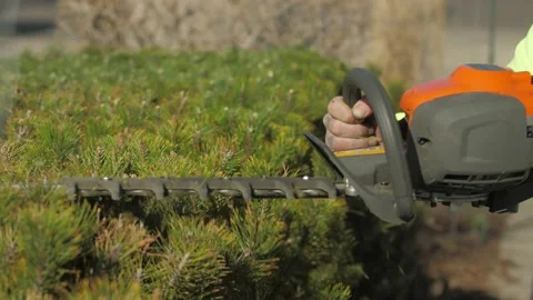 Lanscaper using a hedge-pruner Vídeo Stock 215208974