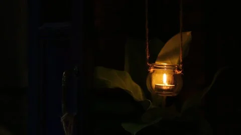 Lantern above the low tree Stock Footage 147904709