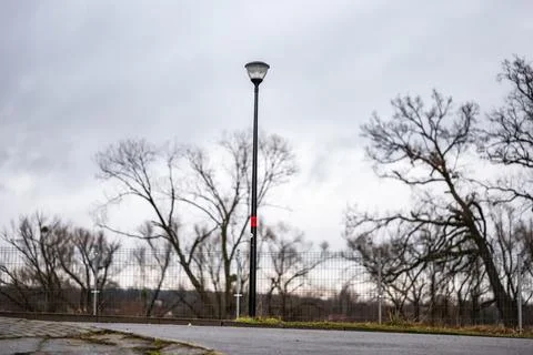 Lantern against winter trees and cloudy sky Foto stock