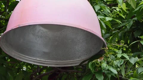 A lantern among the trees in the park Stock Footage 242332288
