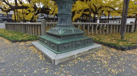 Lantern and Ginkgo Tree at Temple in Kyoto, Japan Stock Footage 58796259