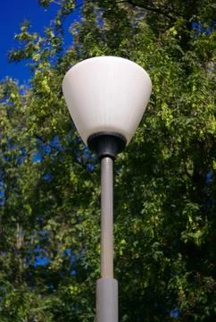 Lantern and tree Stock Photos