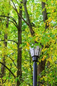 Lantern in autumn park Foto stock