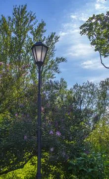 Lantern On The Background Of Trees In The Park Stock Photos