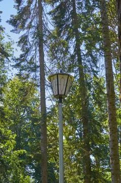 Lantern between coniferous trees in the Park close up Stock Photos
