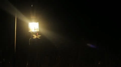 Lantern with bugs flying around at night Video stock 11142617